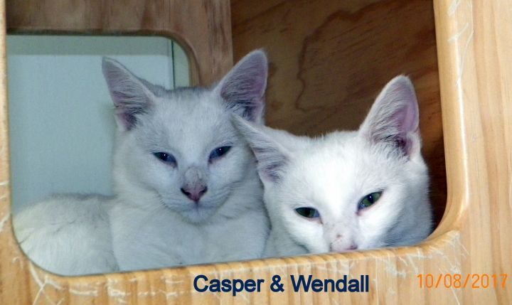 Casper & Wendall 2