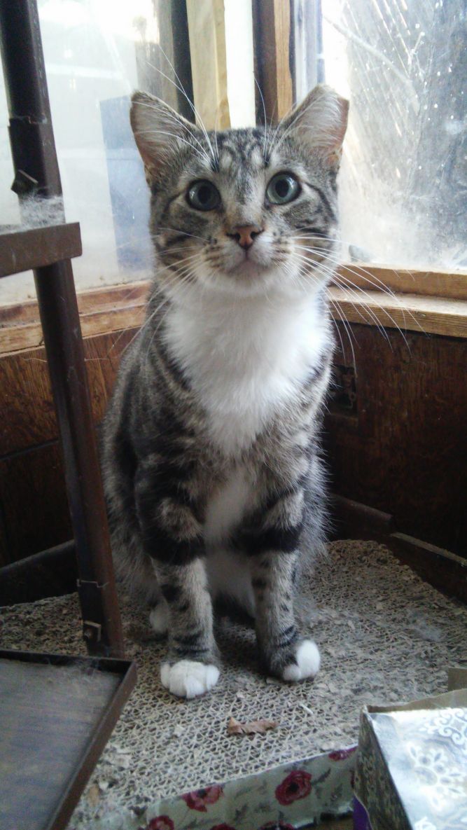 Max
