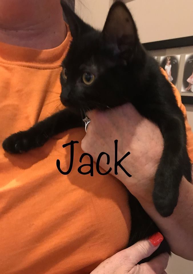 Jack (Courtesy Post) 1