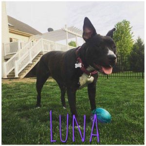 Luna