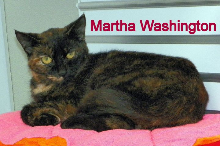 Martha Washington 1