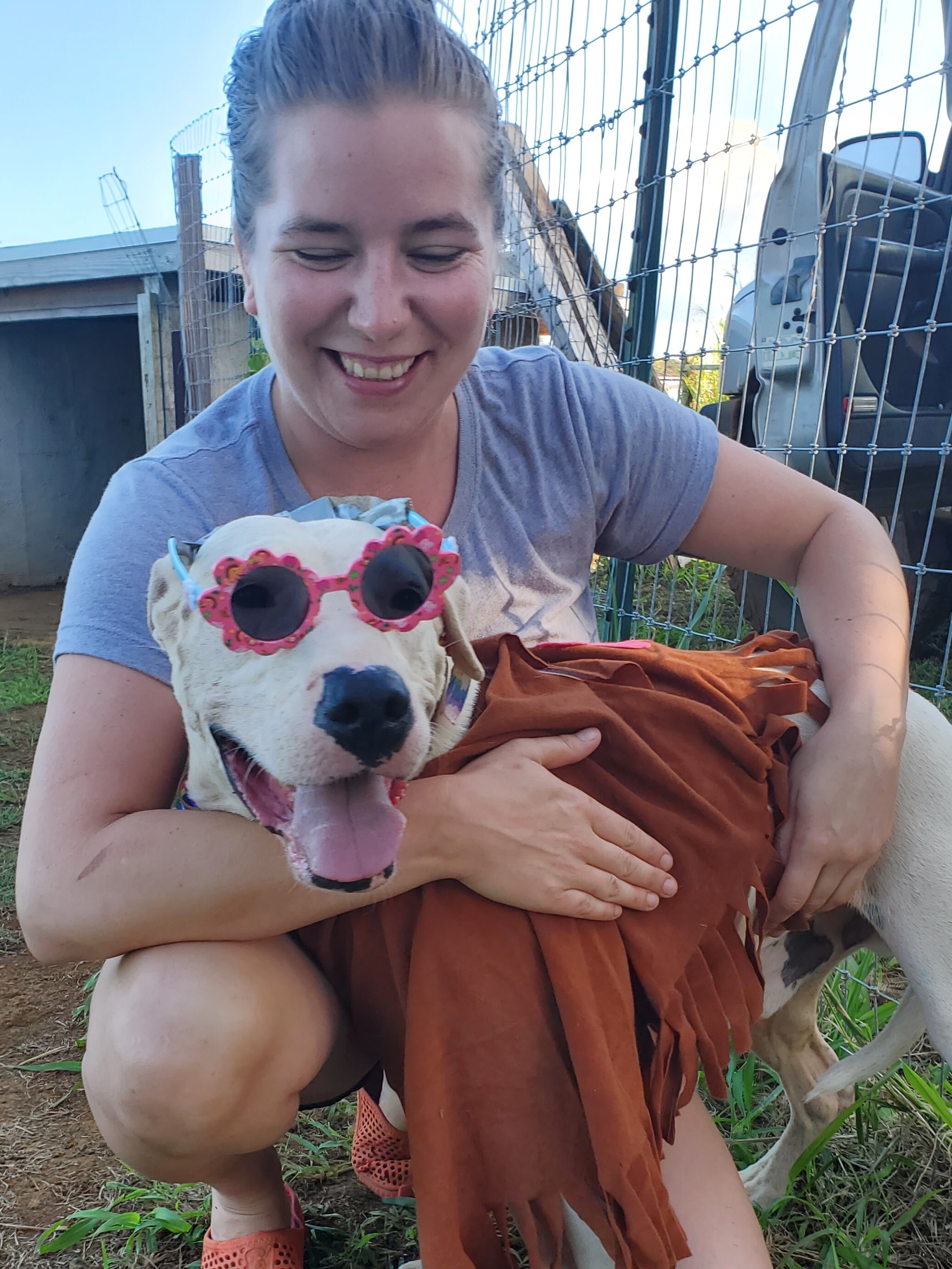 Joe Paxton, an adoptable Hound, Mixed Breed in Portland, OR, 97219 | Photo Image 2