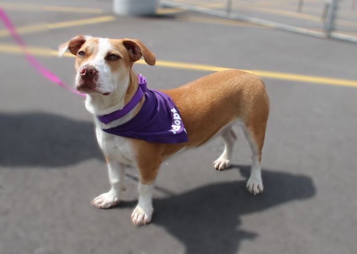 Twinkle-Adopted! 6