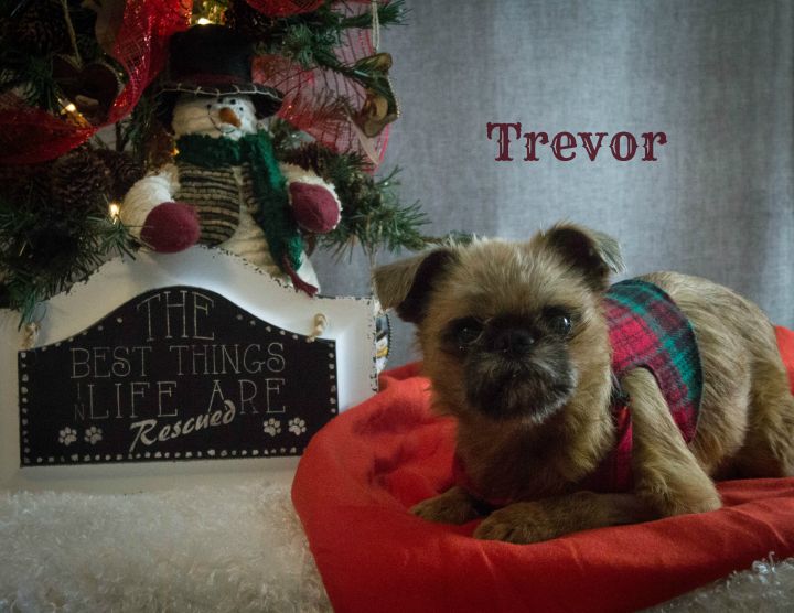 Trevor 1