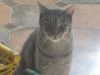 Tigger photo 1