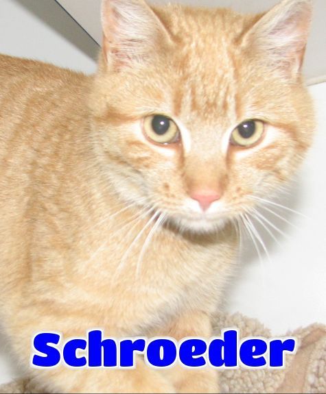 4346 Schroeder Sponsored detail page