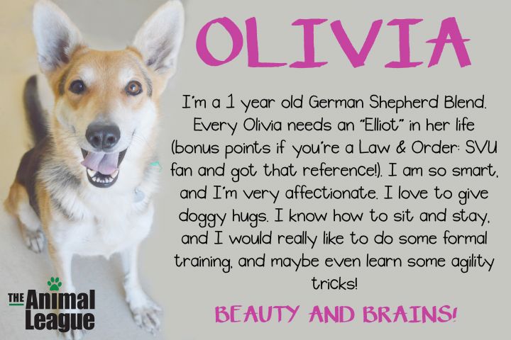 Olivia 5