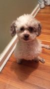 Charlie
