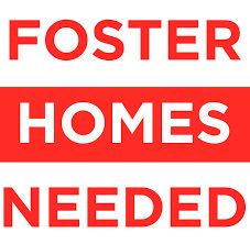 Foster homes needed