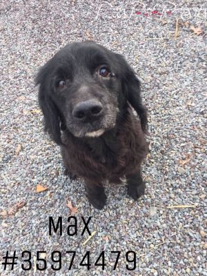 Max - ID35974479