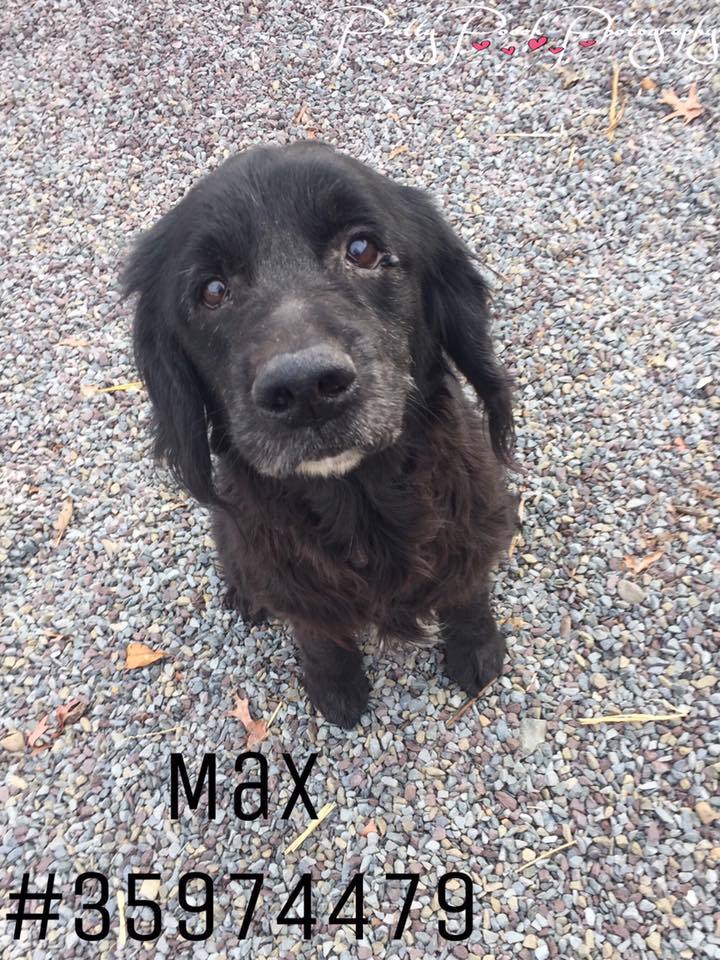 Max - ID35974479 1