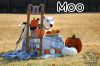 Moo photo 3