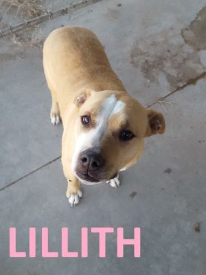 Lillith