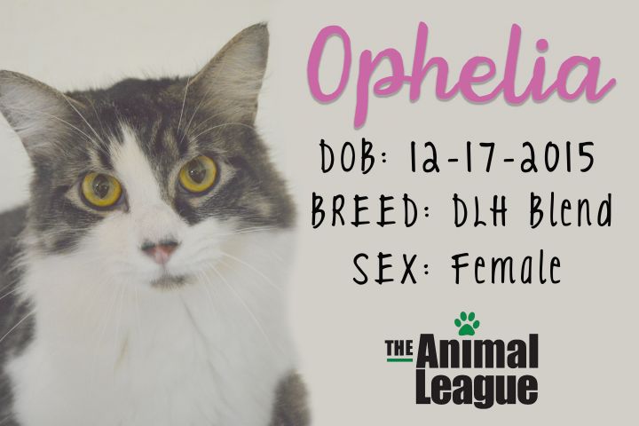 Ophelia 6