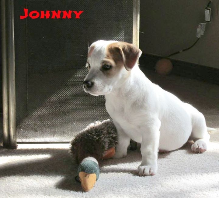 Johnny 2
