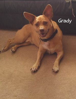 Grady