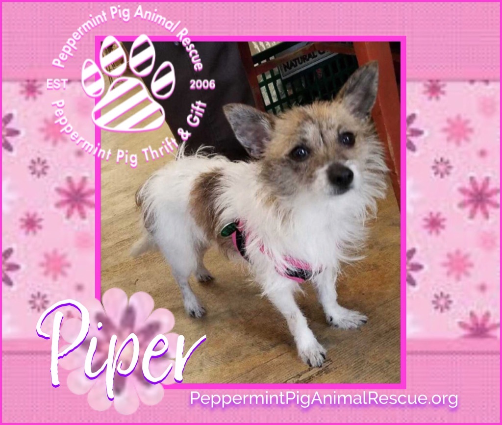 Piper Adoption Pending detail page