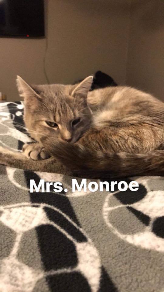 Mrs Monroe detail page