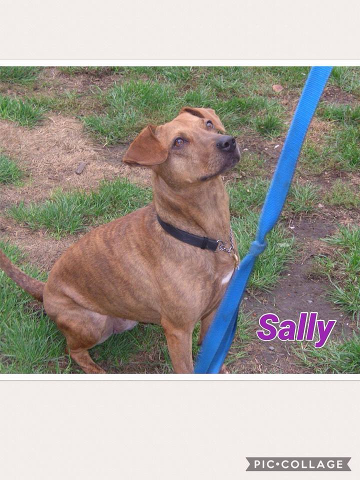 Sally detail page