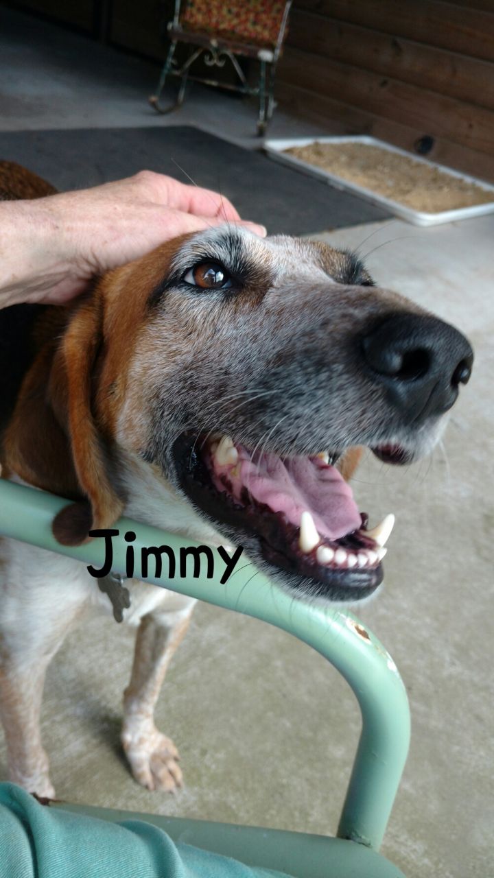 Jimmy 3