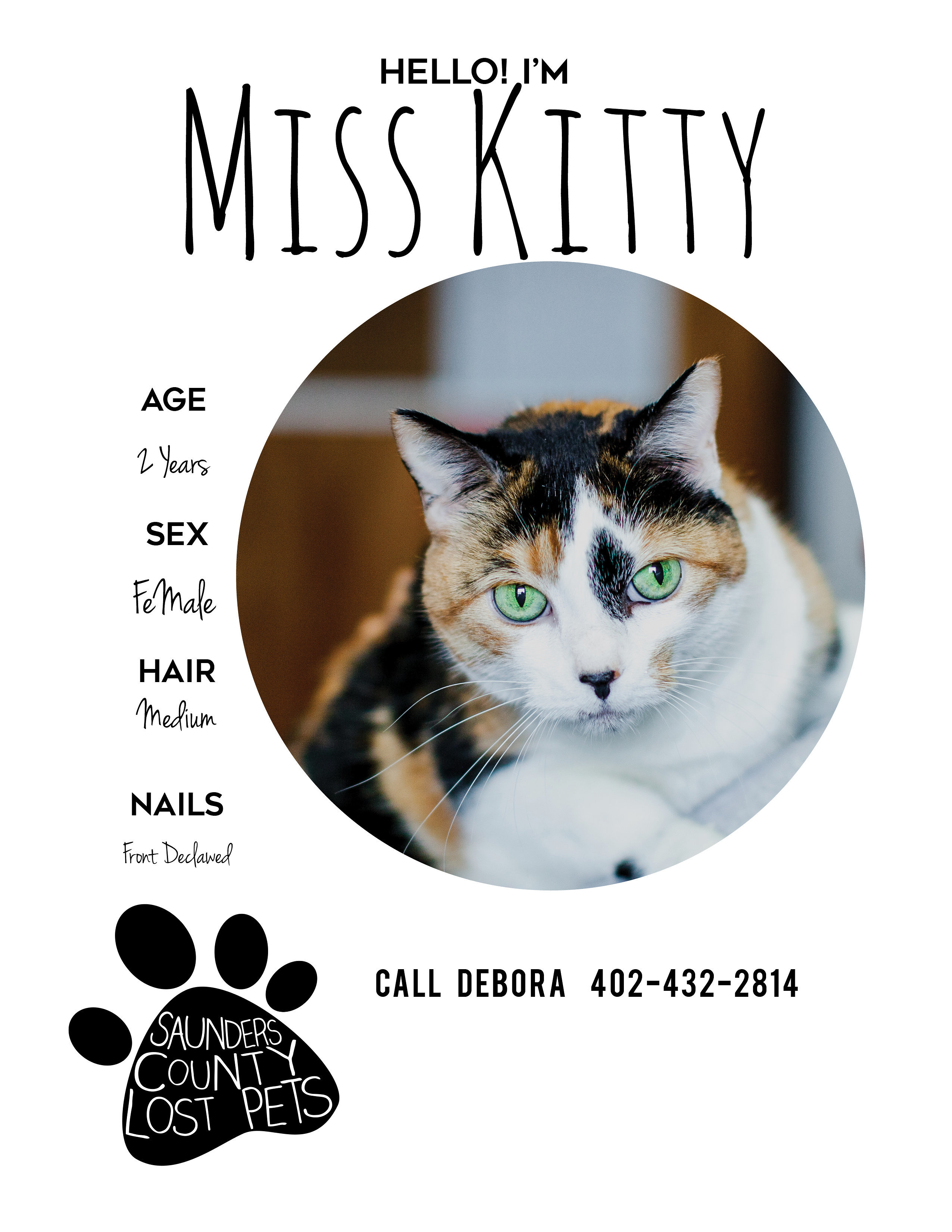 Miss Kitty 1