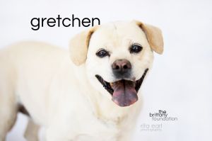 Gretchen