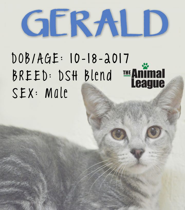 Gerald 5