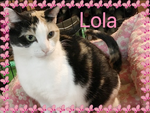 Lola 4