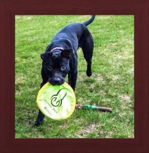 Jonah:  Fly ball anyone?