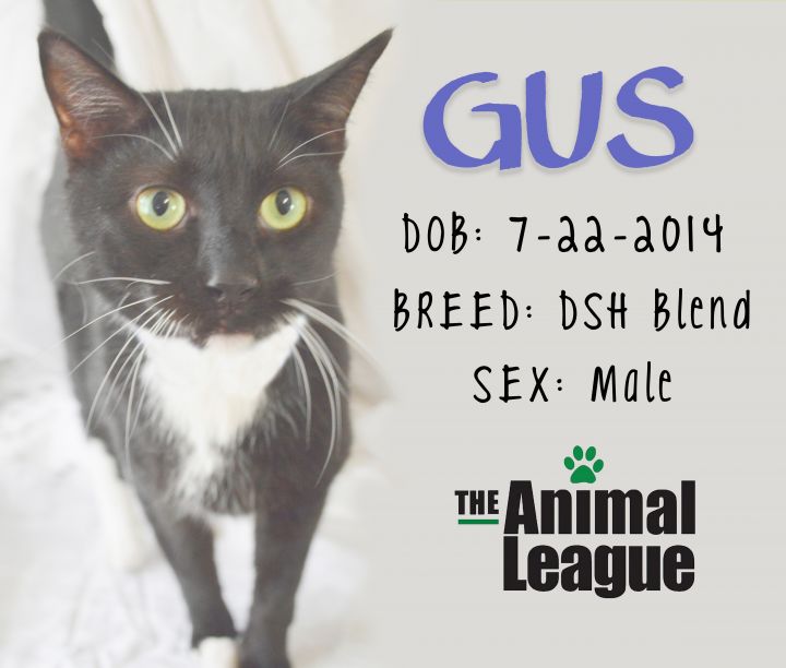 Gus 5