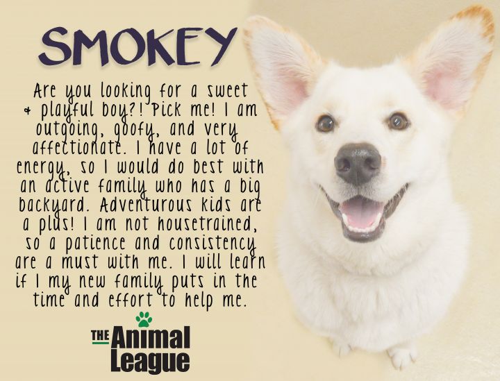 Smokey 6