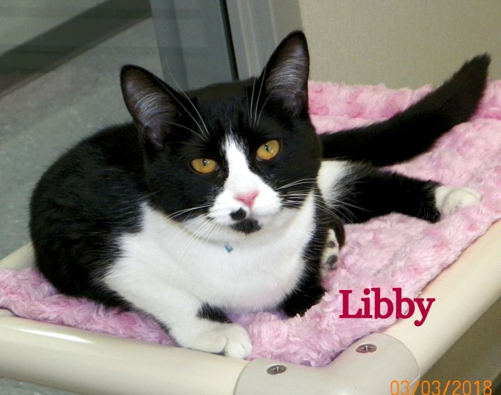 Libby 1
