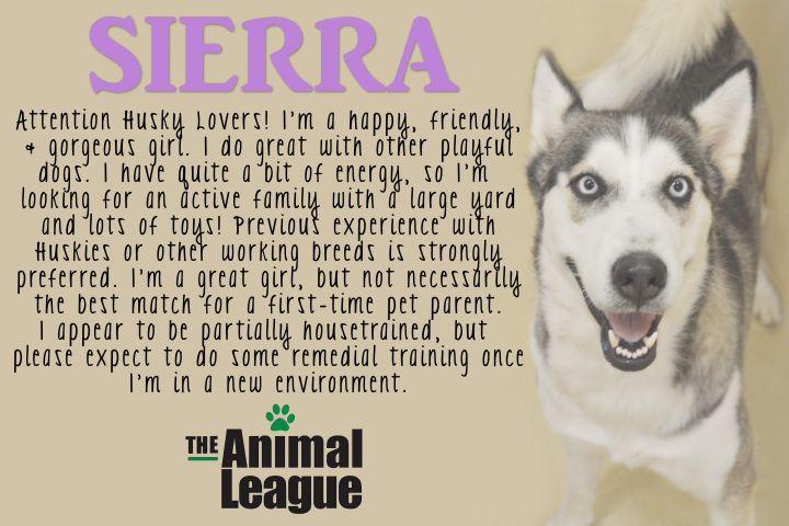 Sierra 6