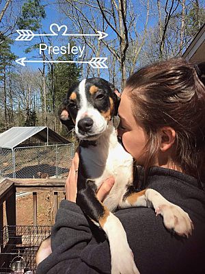 Presley detail page