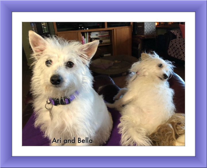 Adopted!! Ari and Bella - STX 5