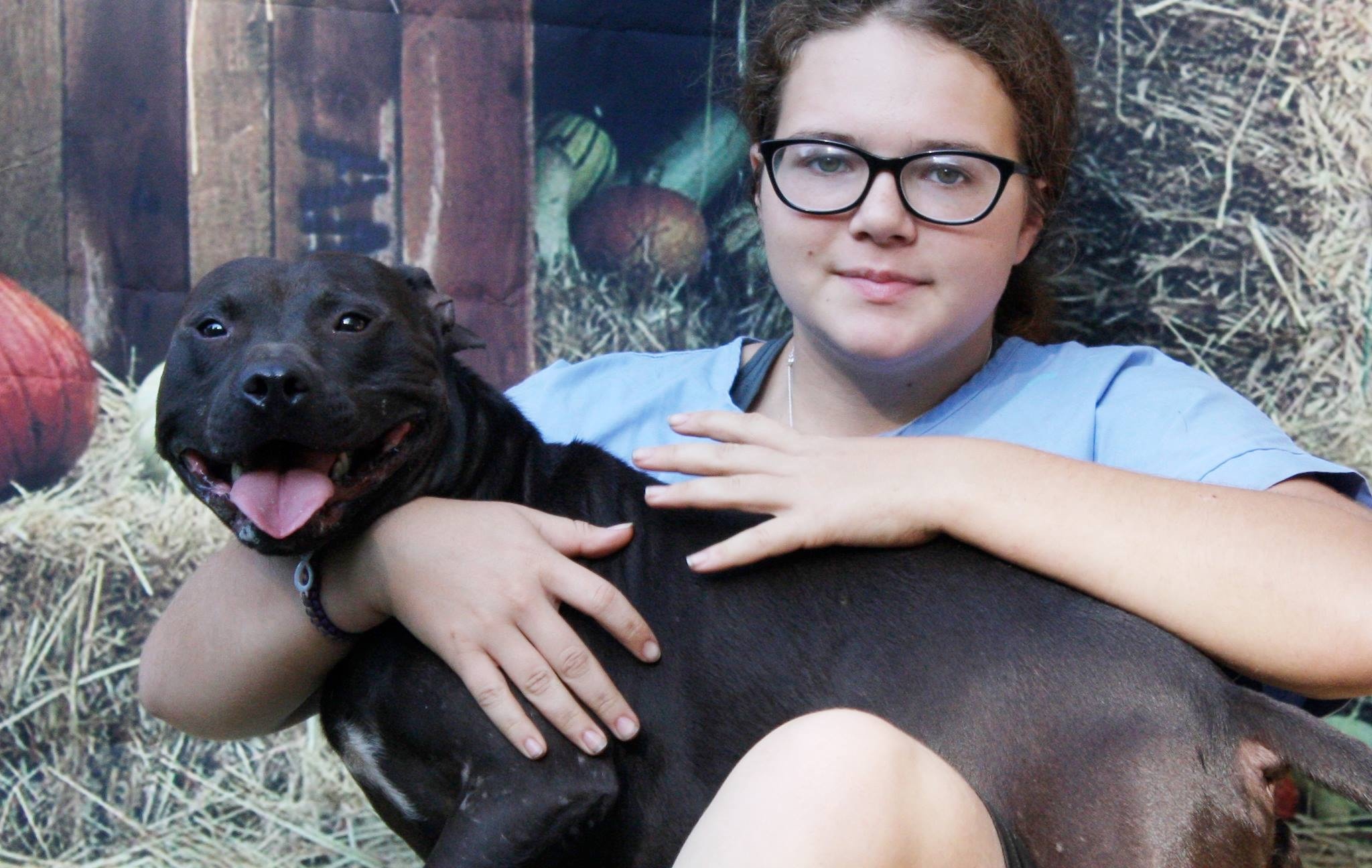 Nico, an adoptable Pit Bull Terrier in Columbus, MS, 39702 | Photo Image 3