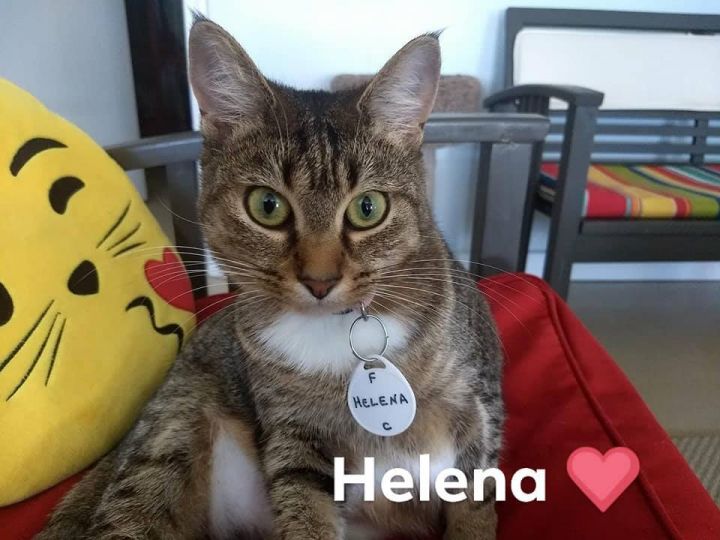 Helena 3
