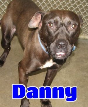 #3047 Danny -sponsored