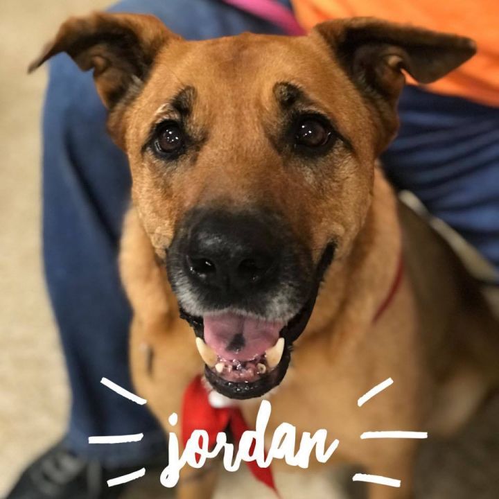Jordan 1