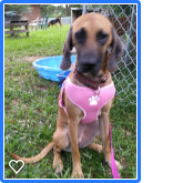MACY-FL-SPECIAL NEEDS NOW AVAILABLE