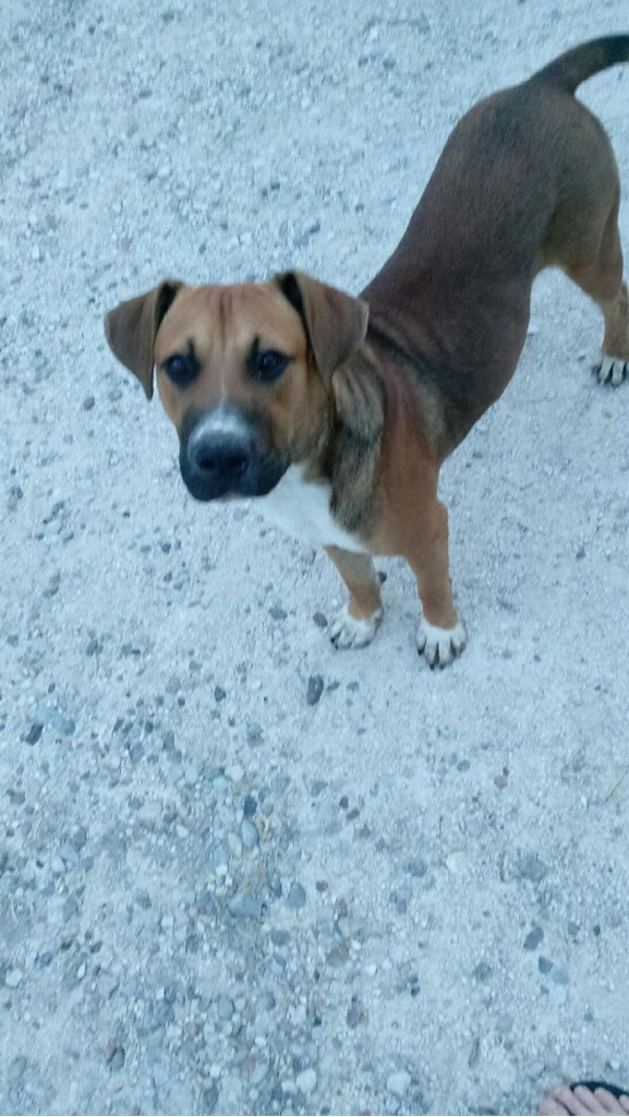 Buster Courtesy In Del Rio Tx detail page