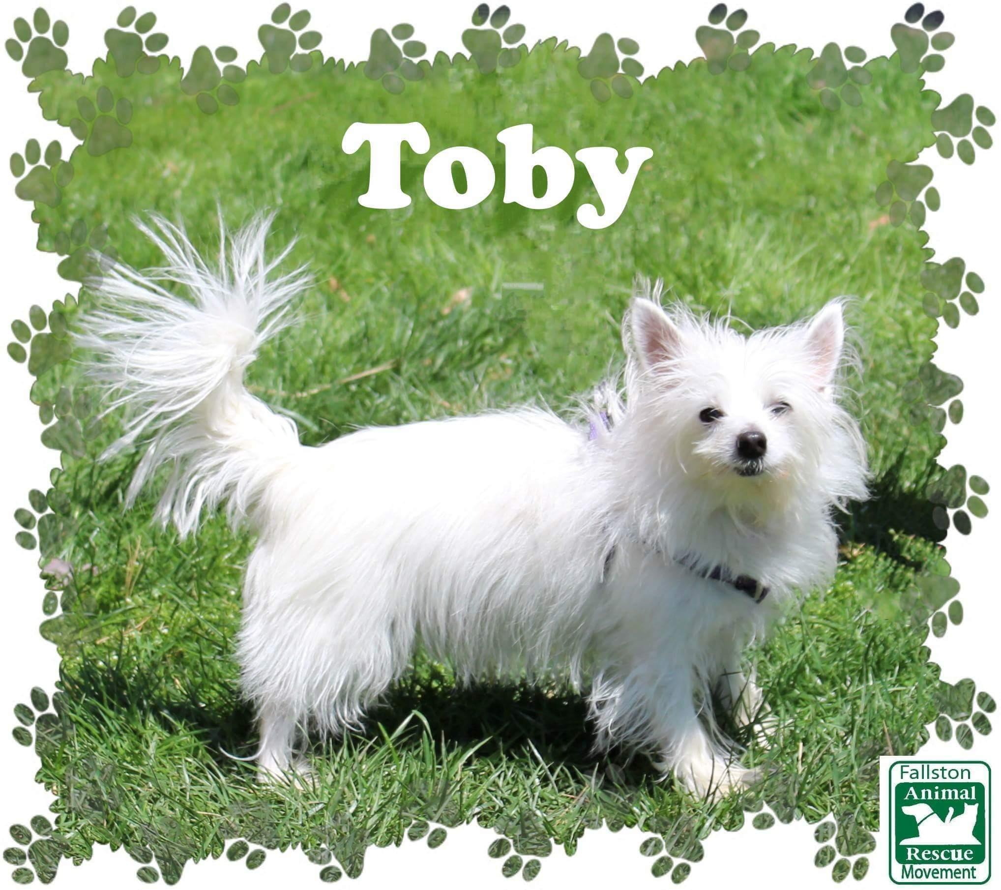 Toby detail page