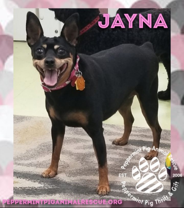 Jayna 6