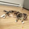 Lily photo 3