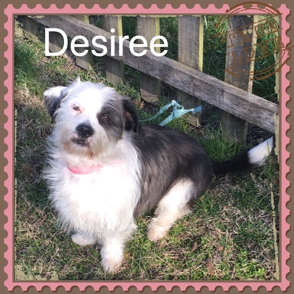 Desiree ( Desi ) 1