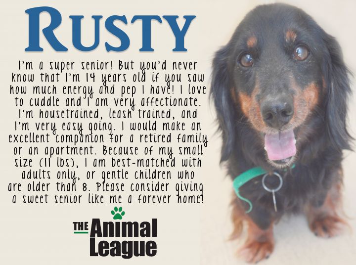 Rusty 5