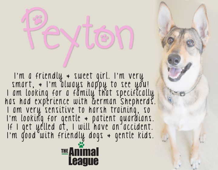Peyton 4