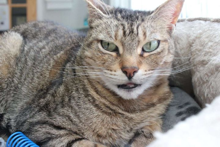 Zoe - Sponsored by Andrea D. (Walli) 3