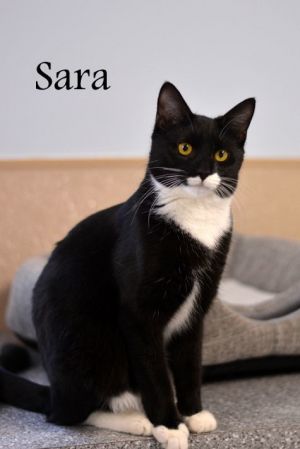 Sara