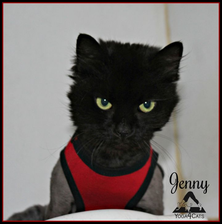 Jenny 1